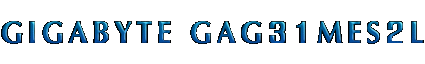 GIGABYTE GAG31MES2L